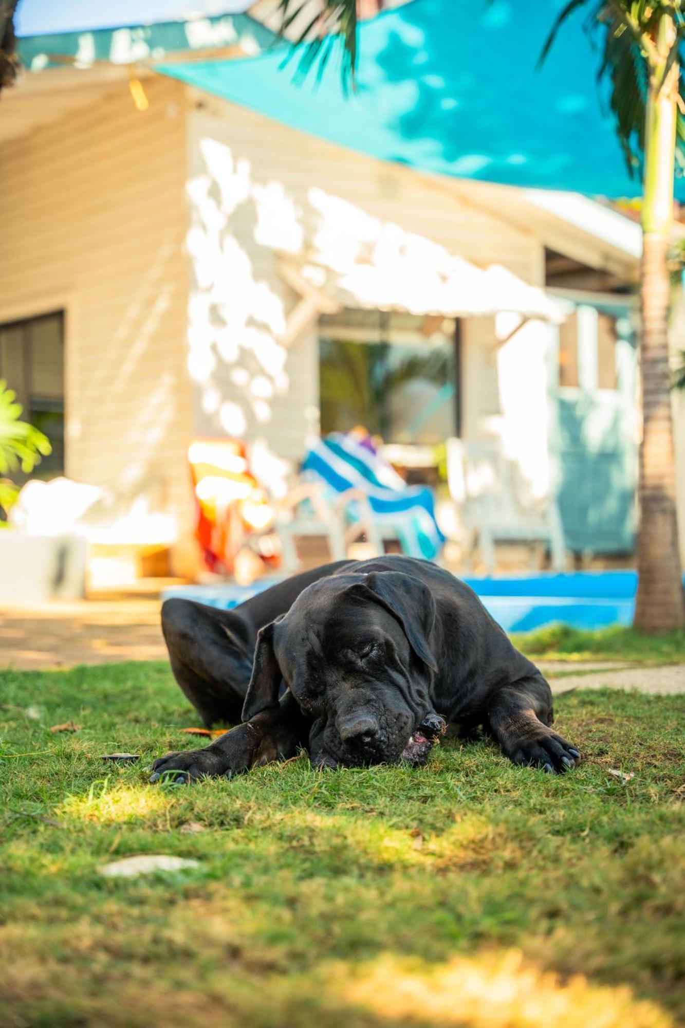Jakes On The Beach Las Peñitas エクステリア 写真