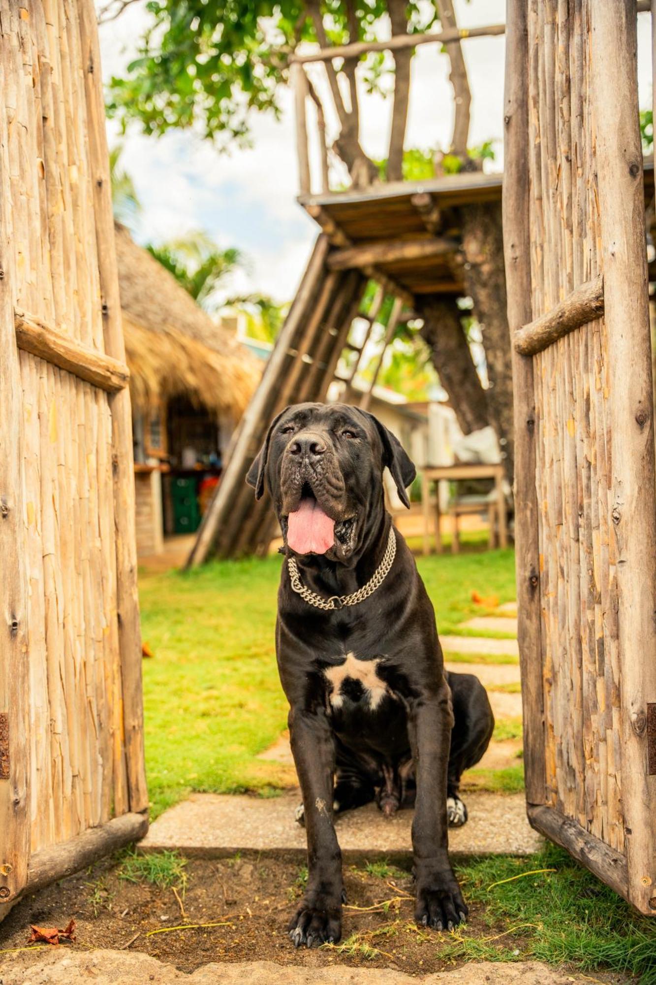Jakes On The Beach Las Peñitas エクステリア 写真