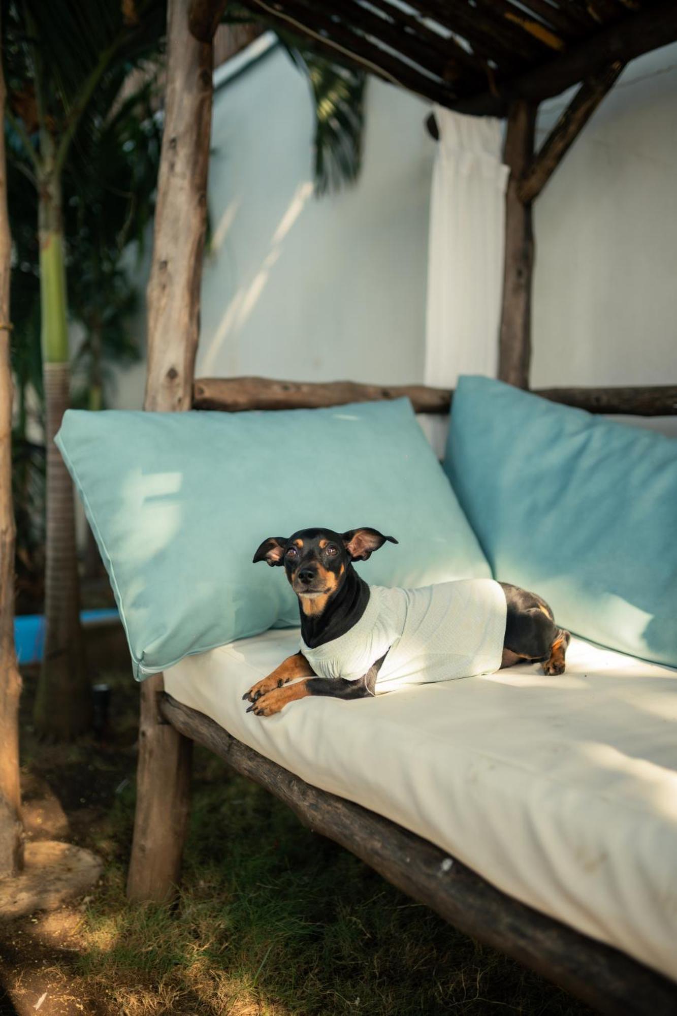 Jakes On The Beach Las Peñitas エクステリア 写真