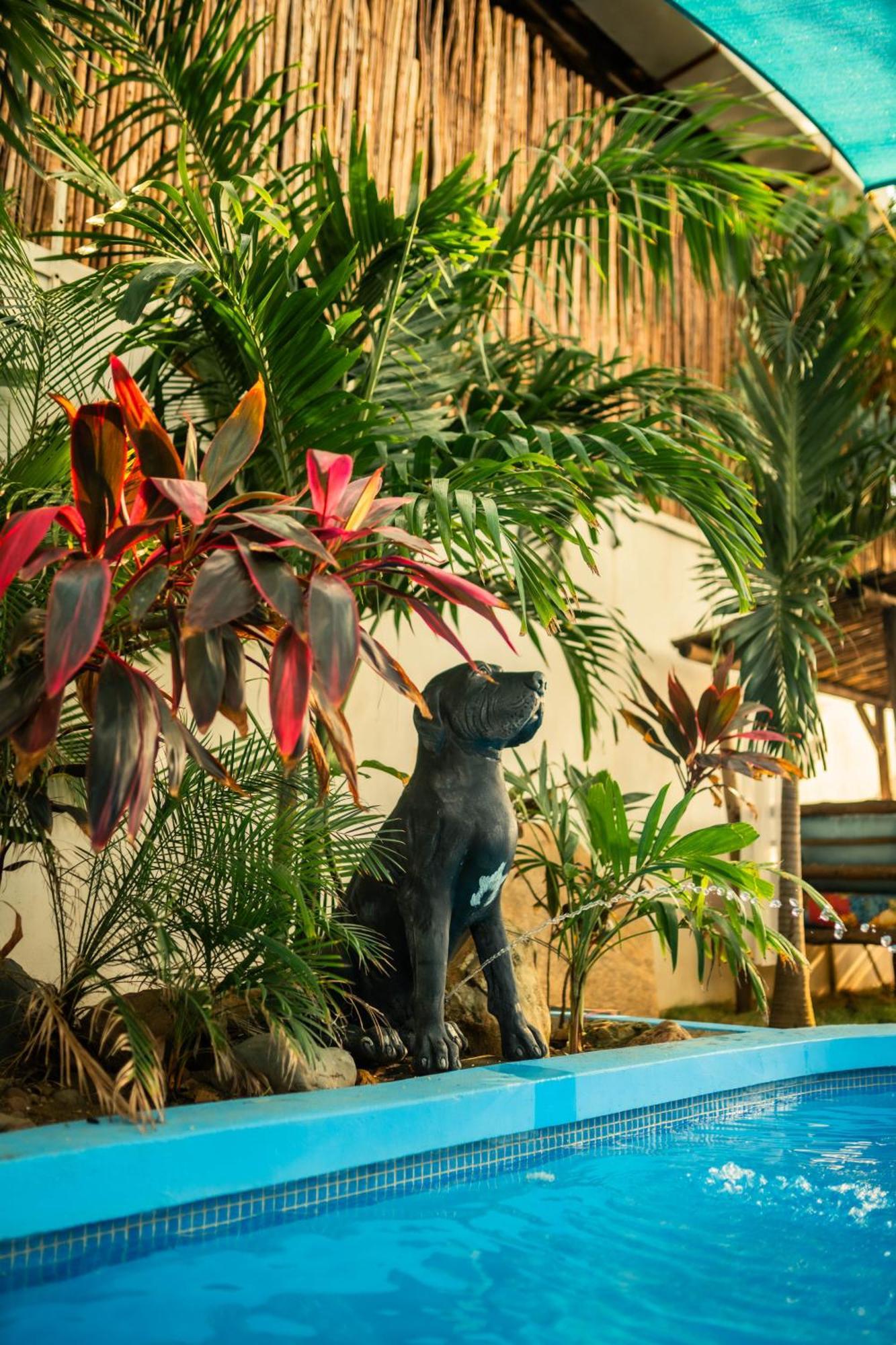 Jakes On The Beach Las Peñitas エクステリア 写真